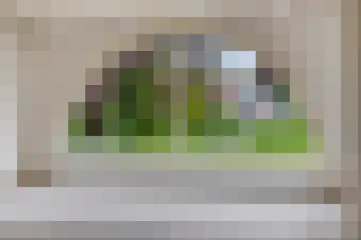 Plein-Zuid 7 Aalten thumbnail 5