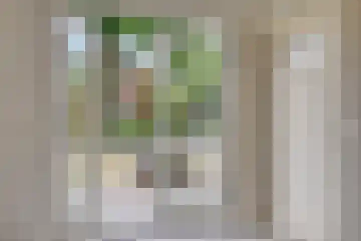 Plein-Zuid 7 Aalten thumbnail 9
