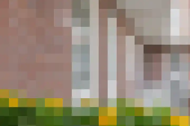 Pleinbuurt 9 Purmerend thumbnail 25