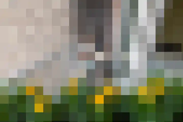 Pleinbuurt 9 Purmerend thumbnail 4