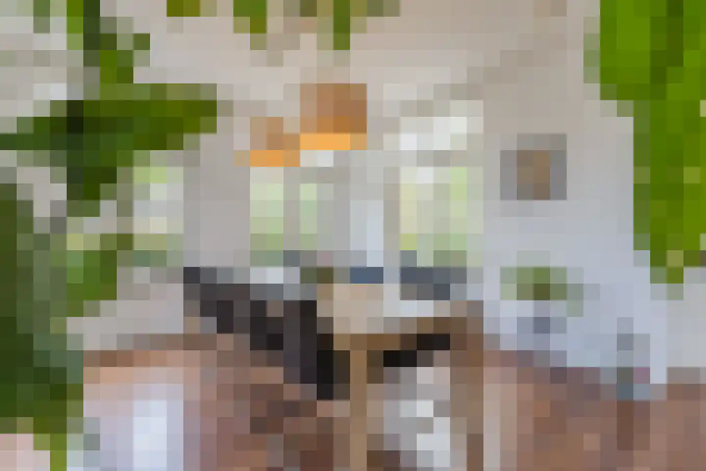 Pleinesbos 23 Vleuten thumbnail 12