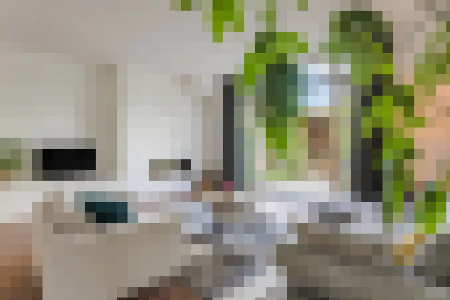 Pleinesbos 23 Vleuten thumbnail 13