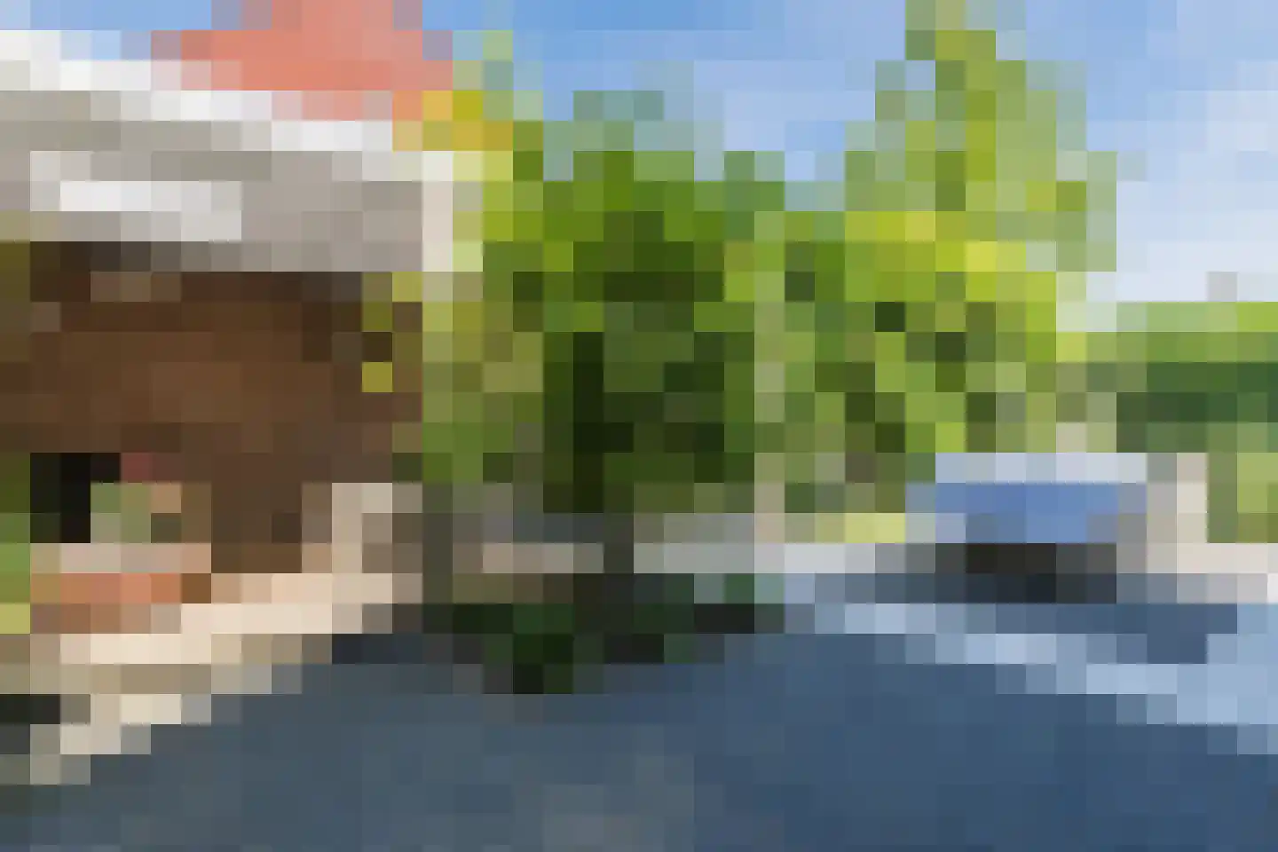 Pleinesbos 23 Vleuten thumbnail 16