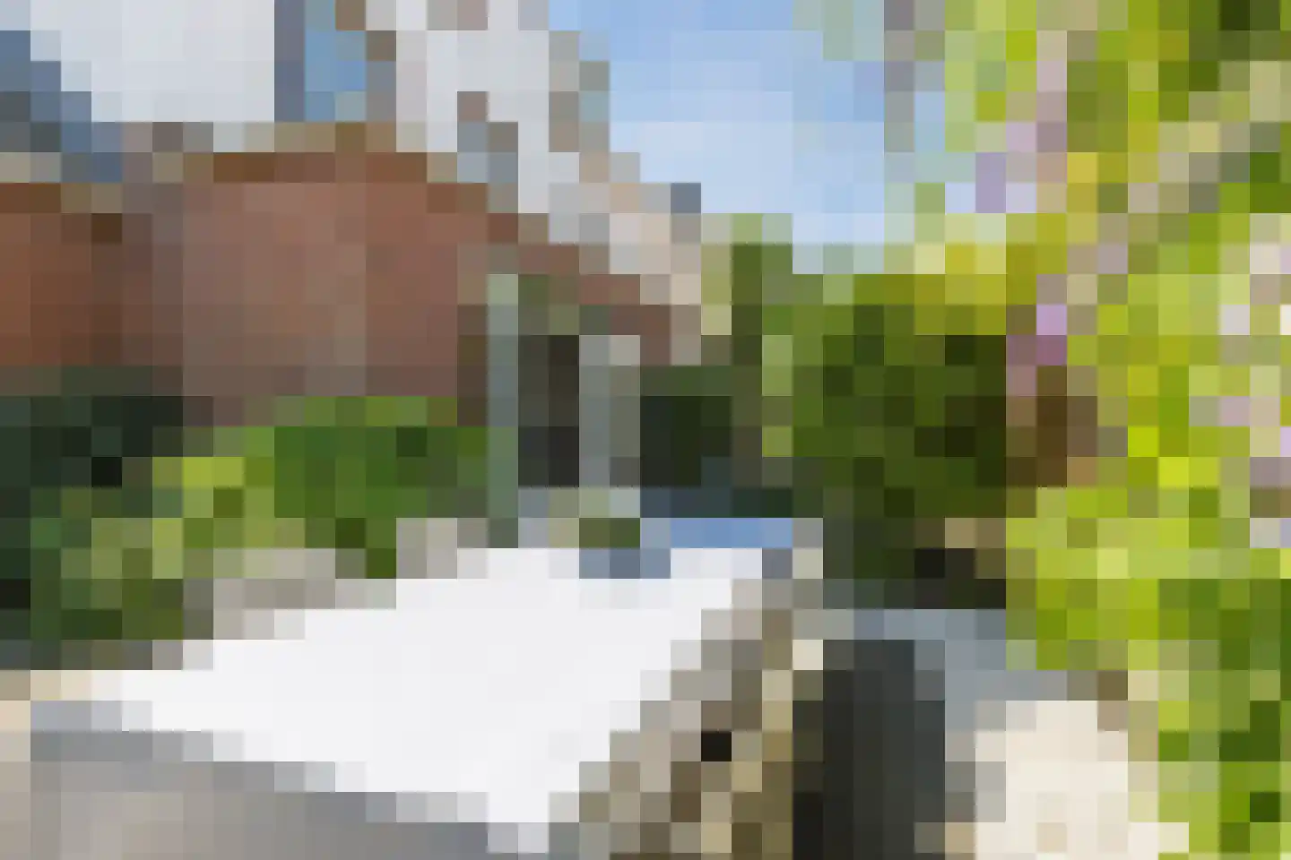 Pleinesbos 23 Vleuten thumbnail 18