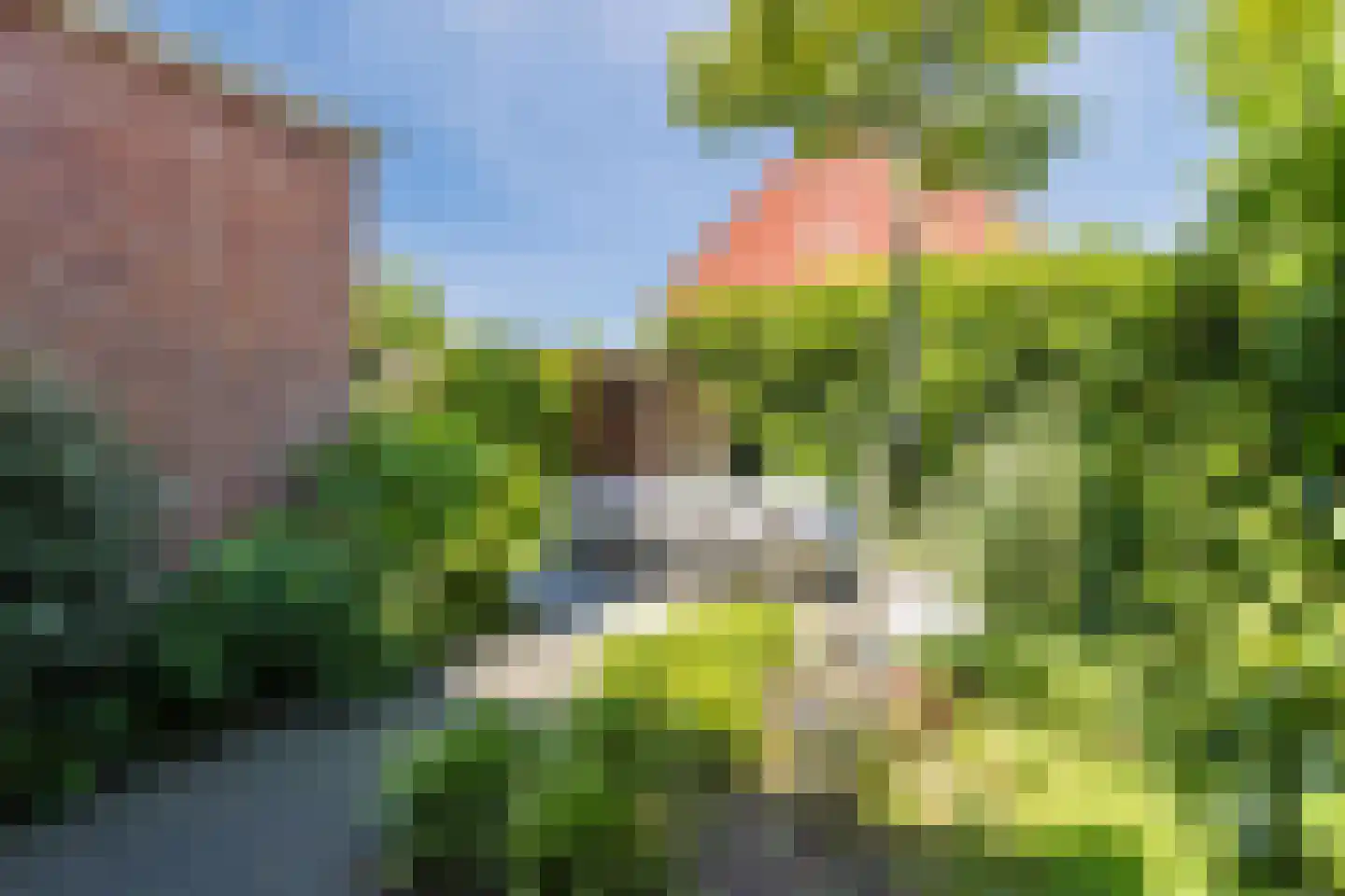Pleinesbos 23 Vleuten thumbnail 21