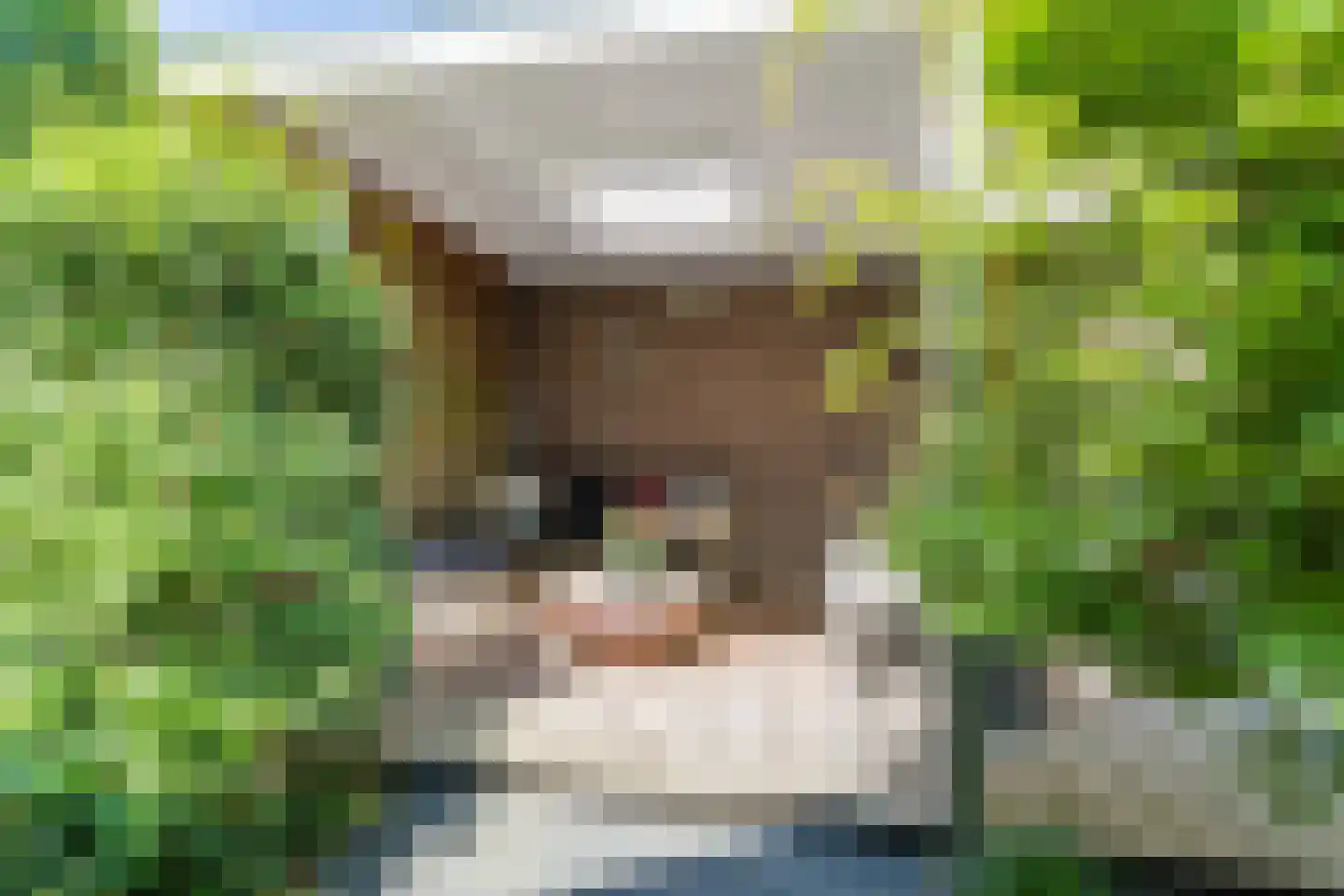 Pleinesbos 23 Vleuten thumbnail 23
