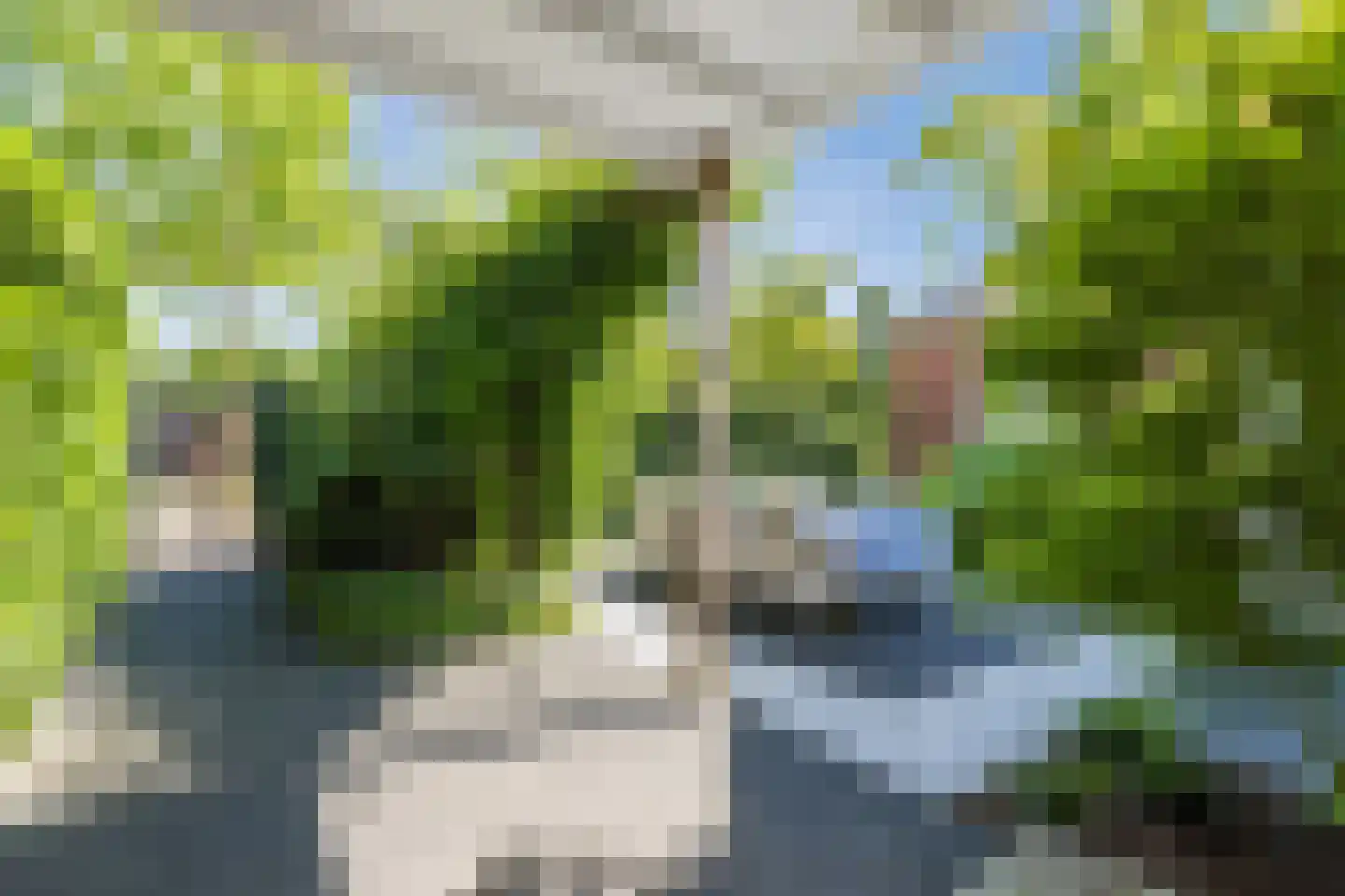 Pleinesbos 23 Vleuten thumbnail 24