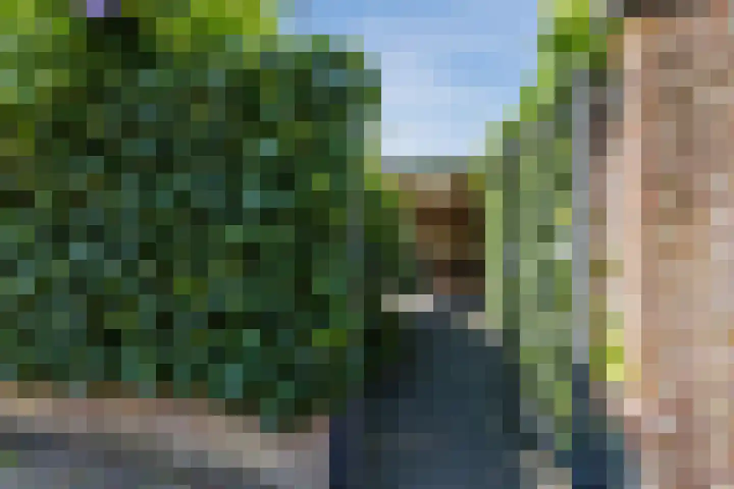 Pleinesbos 23 Vleuten thumbnail 28