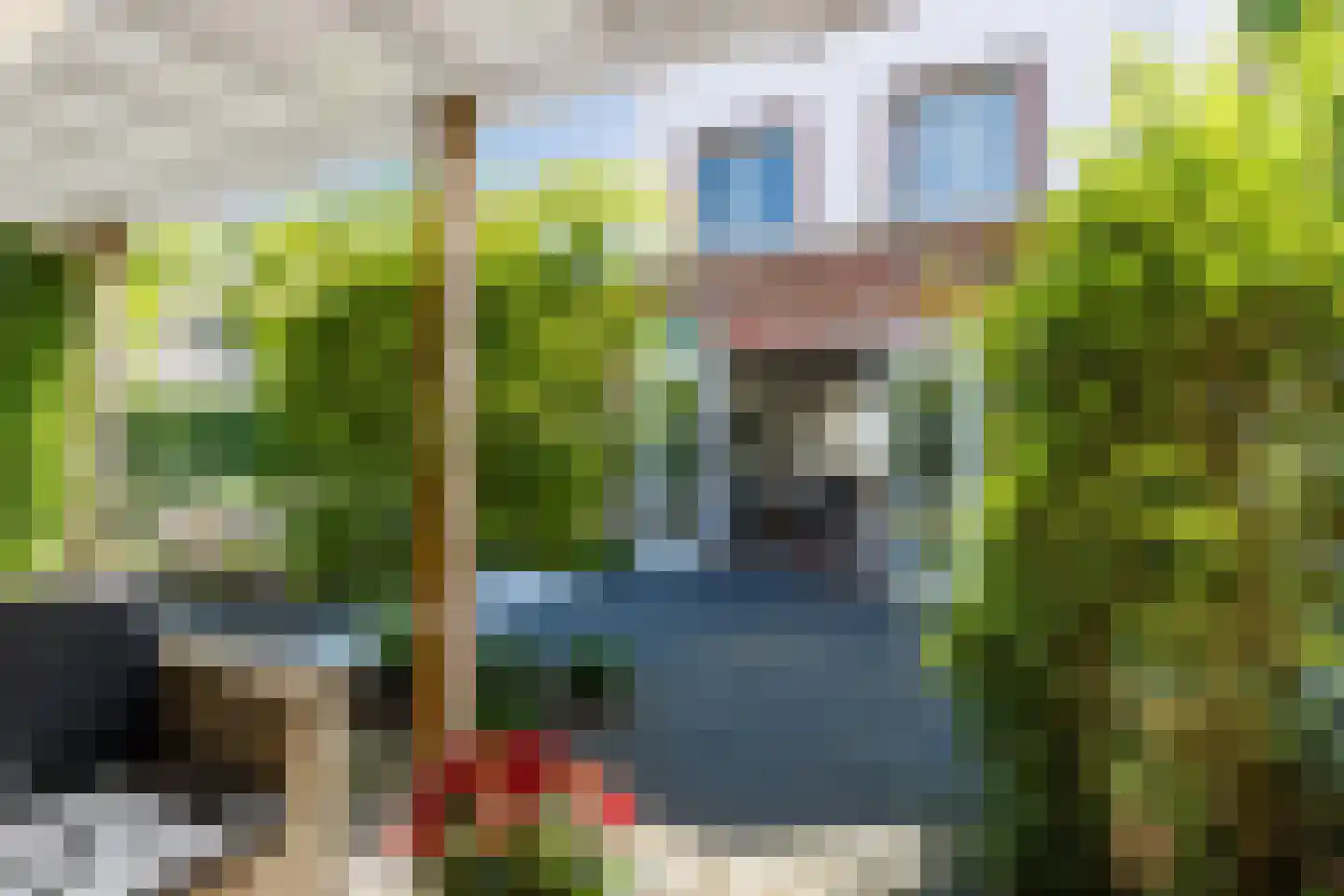 Pleinesbos 23 Vleuten thumbnail 29