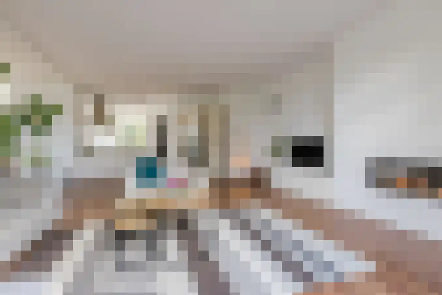 Pleinesbos 23 Vleuten thumbnail 31
