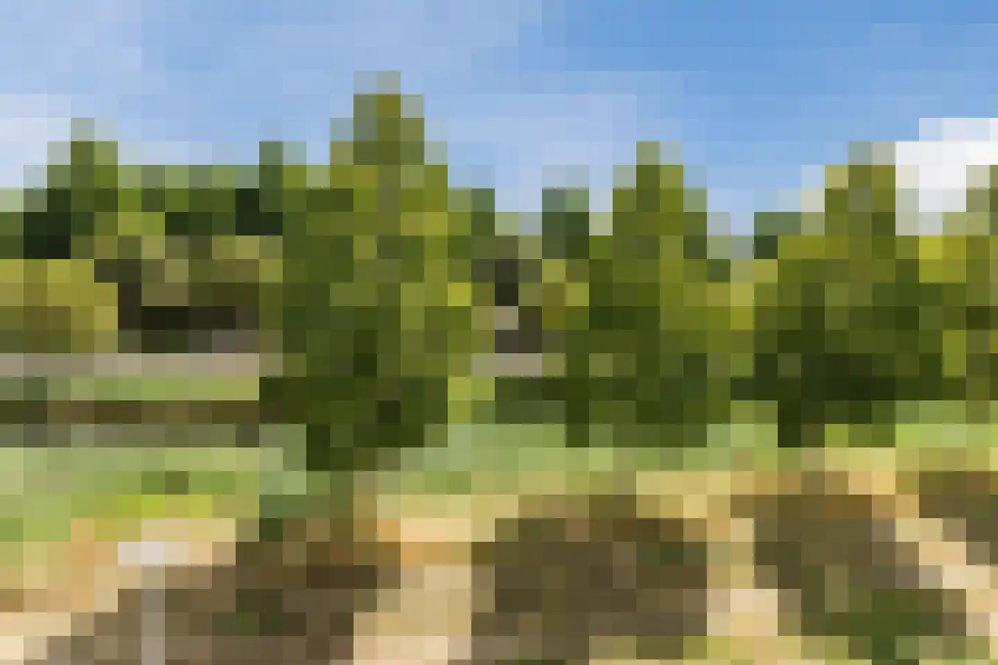 Pleinesbos 23 Vleuten thumbnail 40