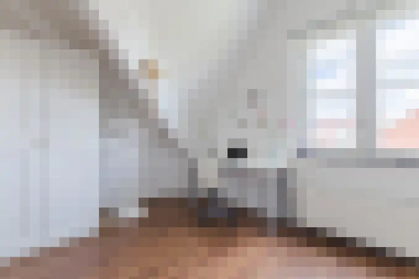 Pleinesbos 23 Vleuten thumbnail 60