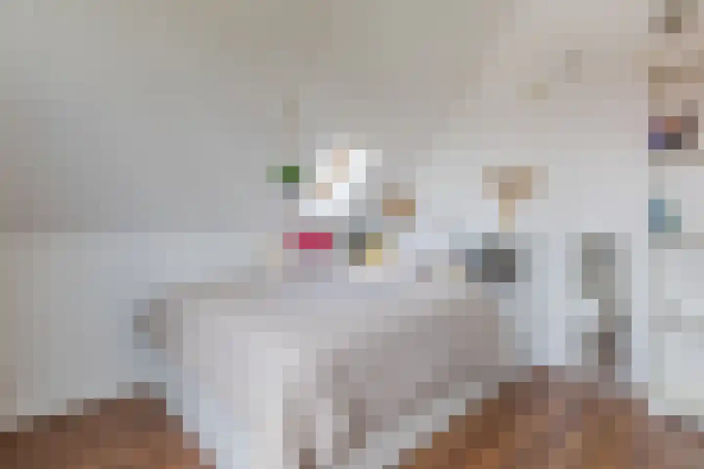 Pleinesbos 23 Vleuten thumbnail 62