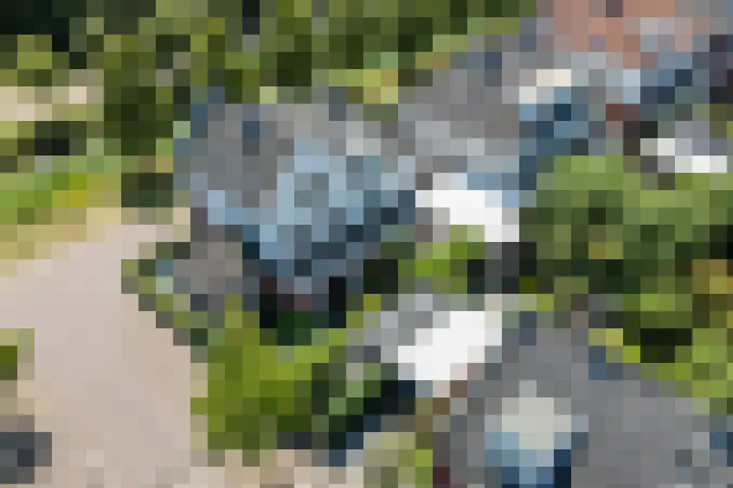 Pleinesbos 23 Vleuten thumbnail 70