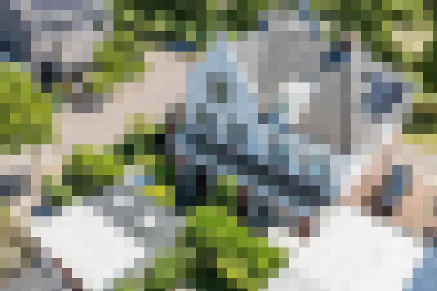 Pleinesbos 23 Vleuten thumbnail 71