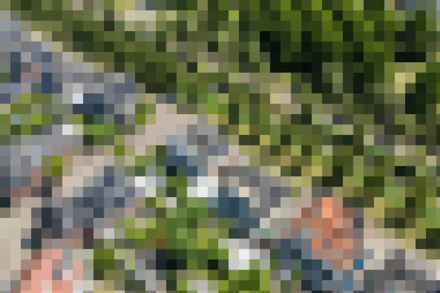 Pleinesbos 23 Vleuten thumbnail 72