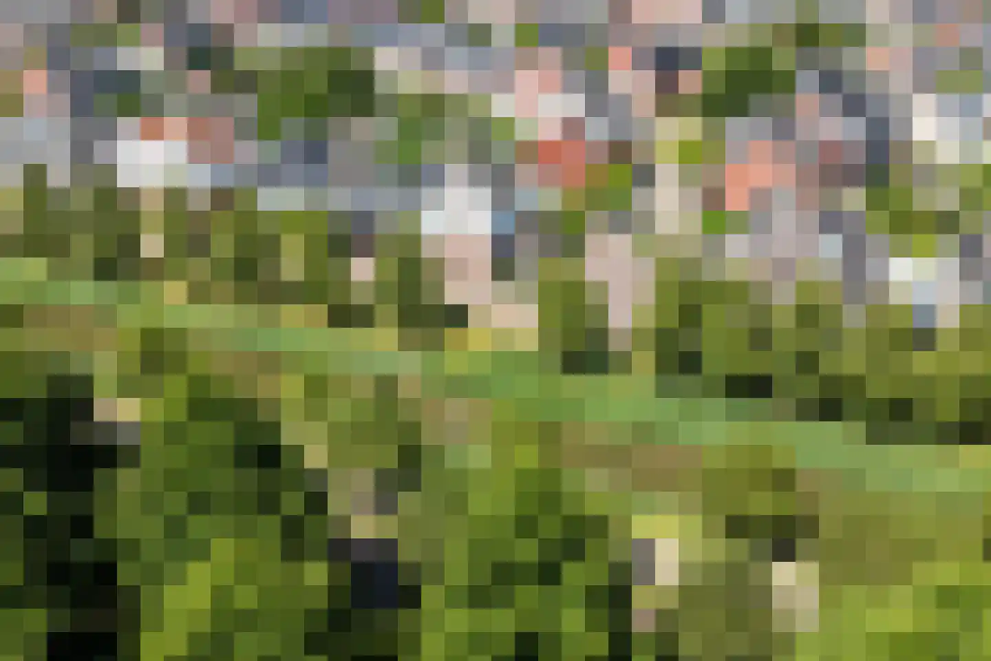 Pleinesbos 23 Vleuten thumbnail 73