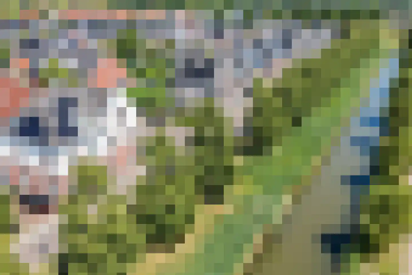 Pleinesbos 23 Vleuten thumbnail 74