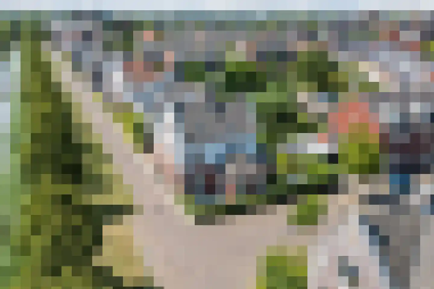 Pleinesbos 23 Vleuten thumbnail 75