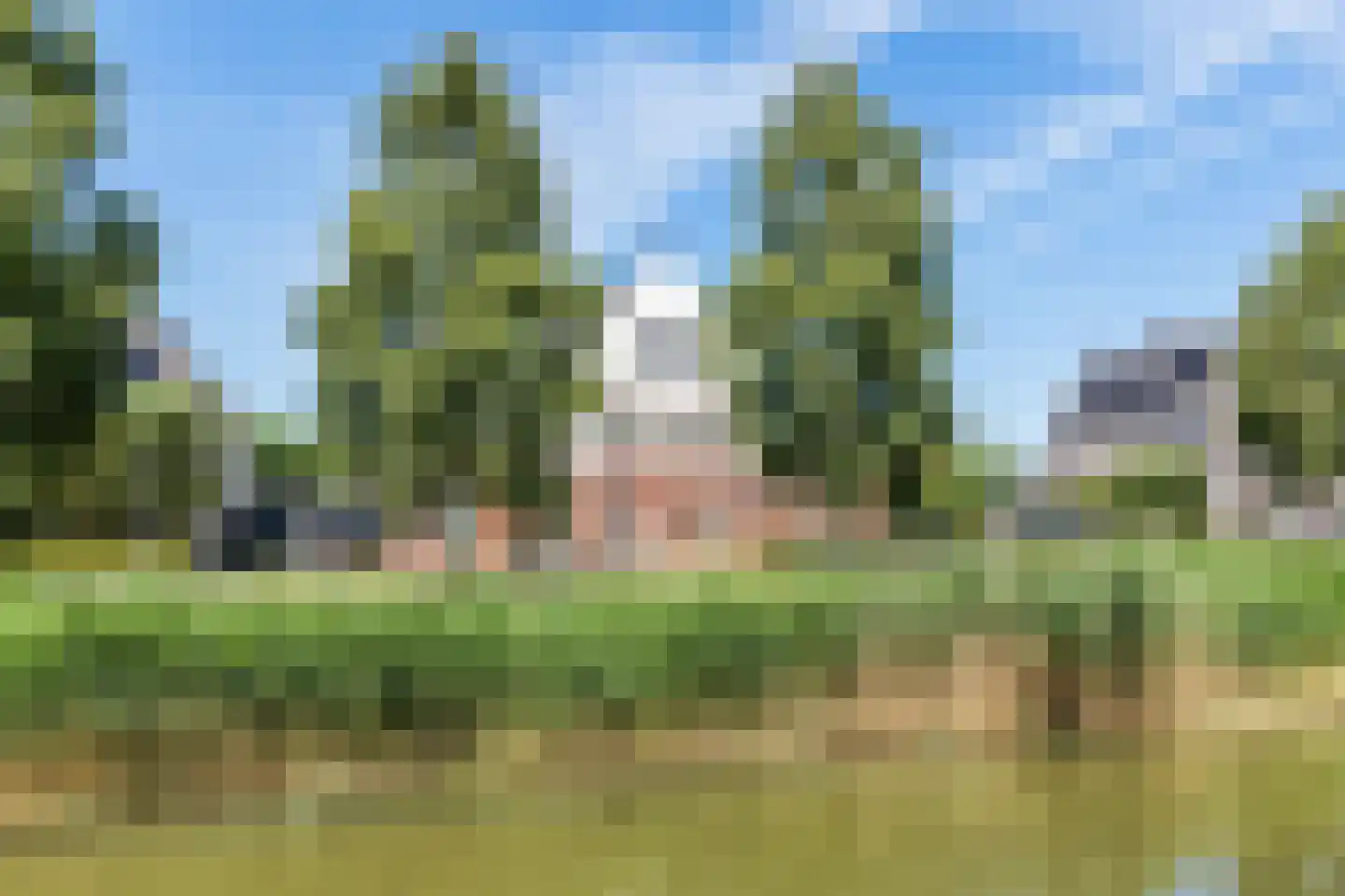 Pleinesbos 23 Vleuten thumbnail 78