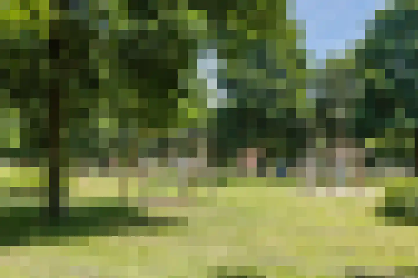 Pleinesbos 23 Vleuten thumbnail 80