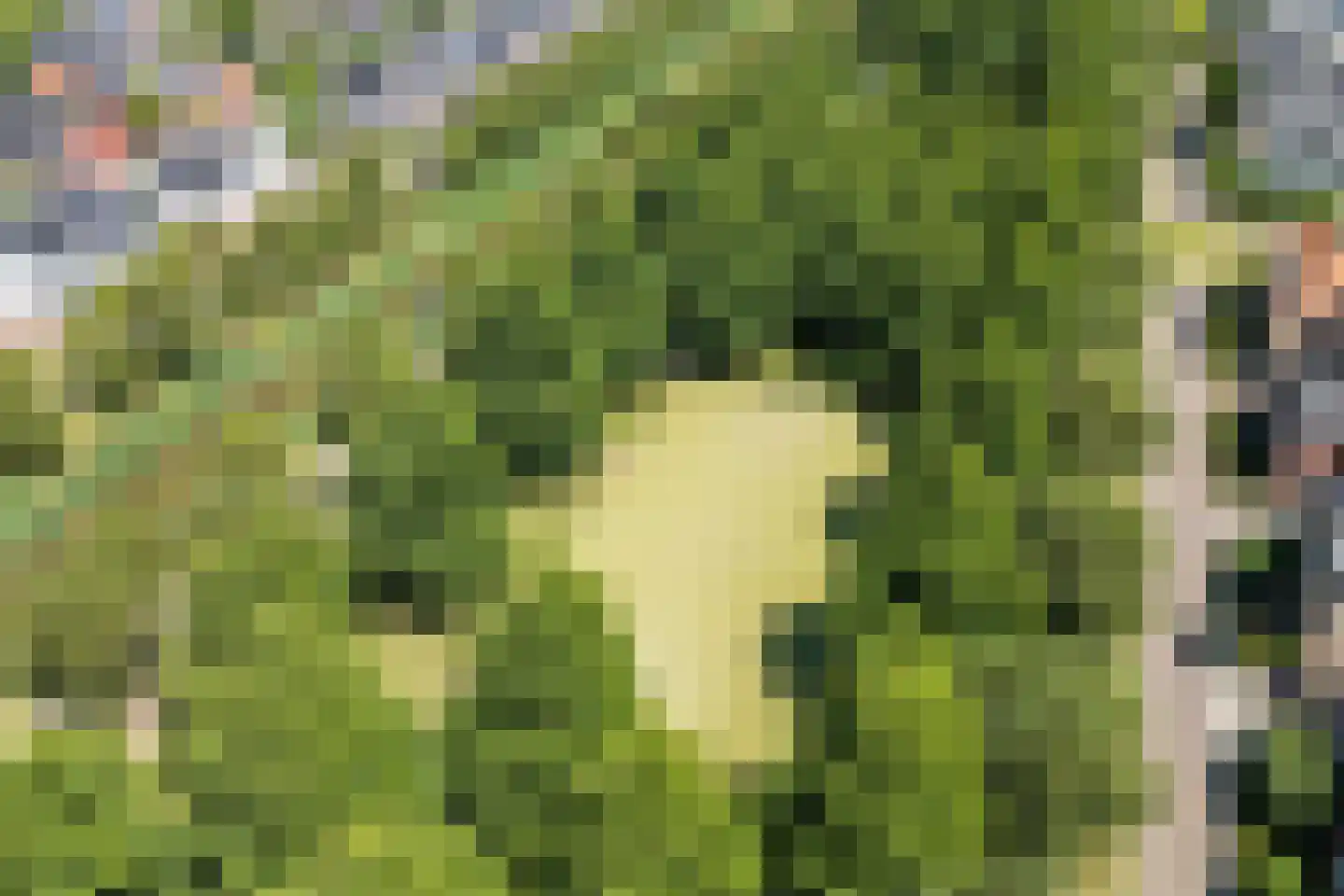 Pleinesbos 23 Vleuten thumbnail 81