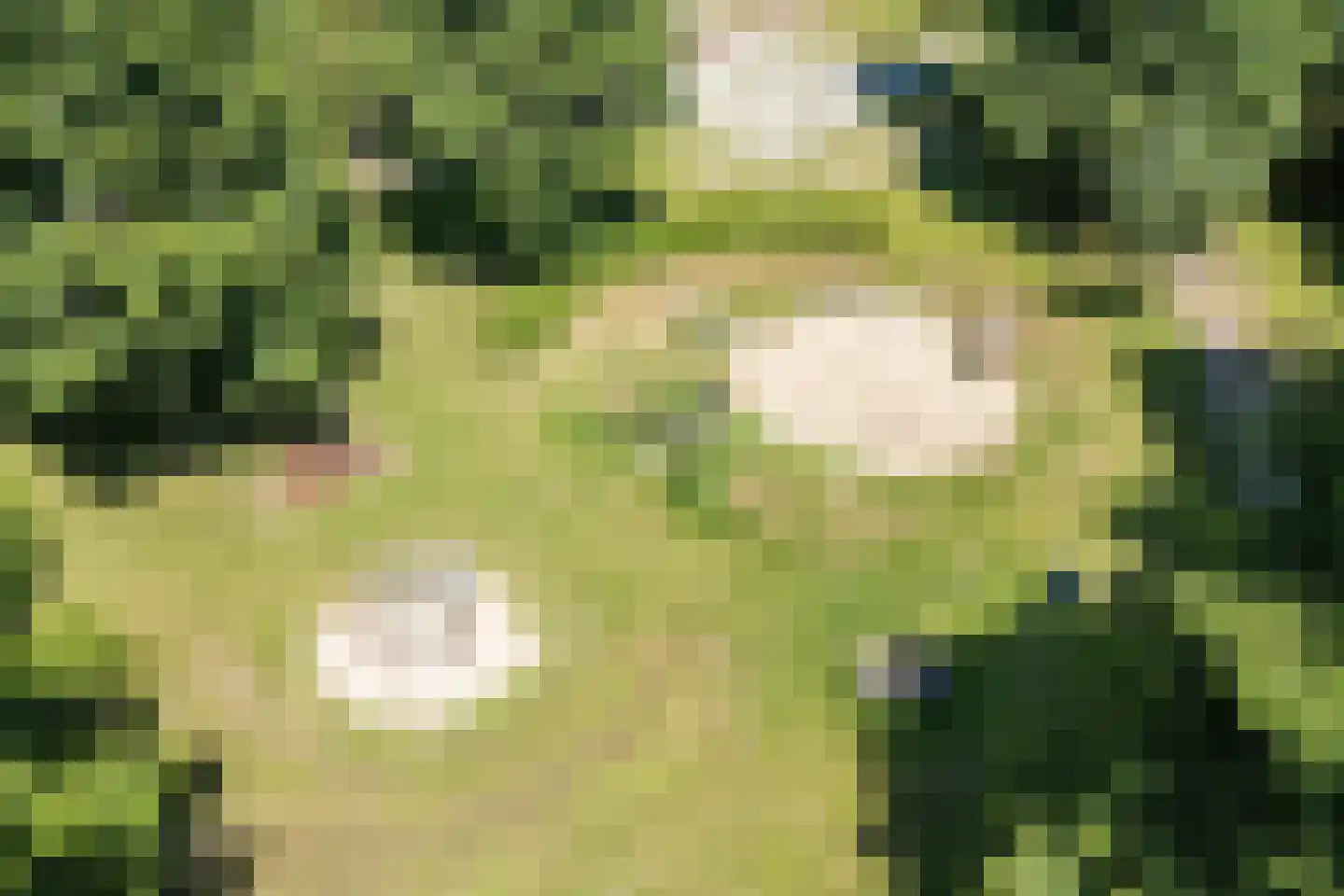 Pleinesbos 23 Vleuten thumbnail 82