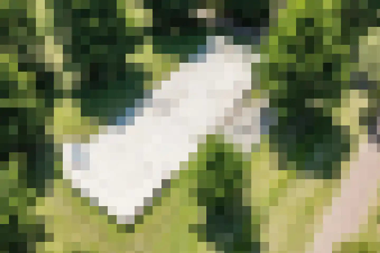 Pleinesbos 23 Vleuten thumbnail 83