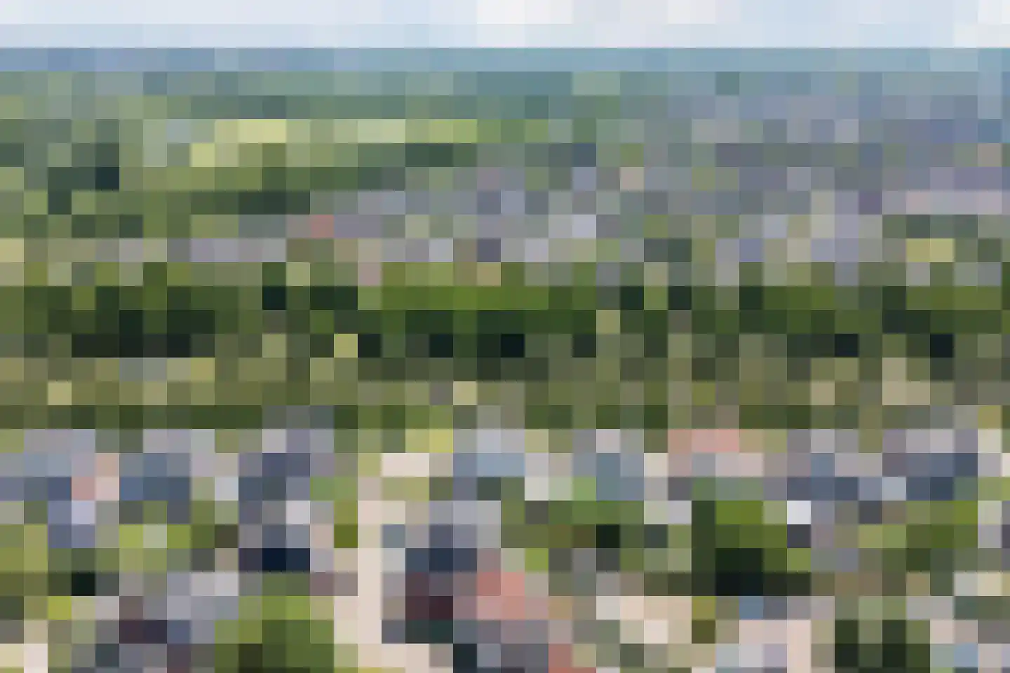 Pleinesbos 23 Vleuten thumbnail 85
