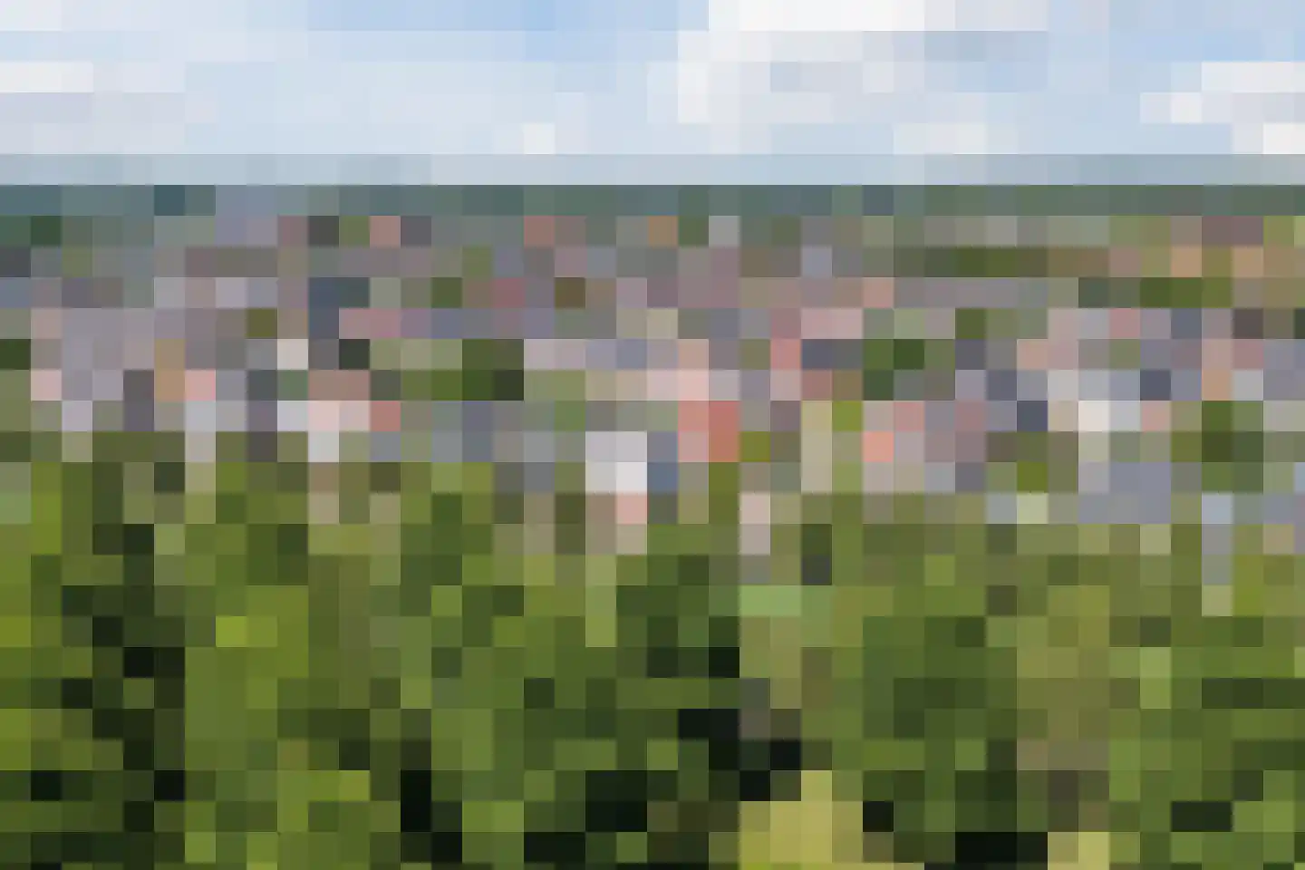 Pleinesbos 23 Vleuten thumbnail 86