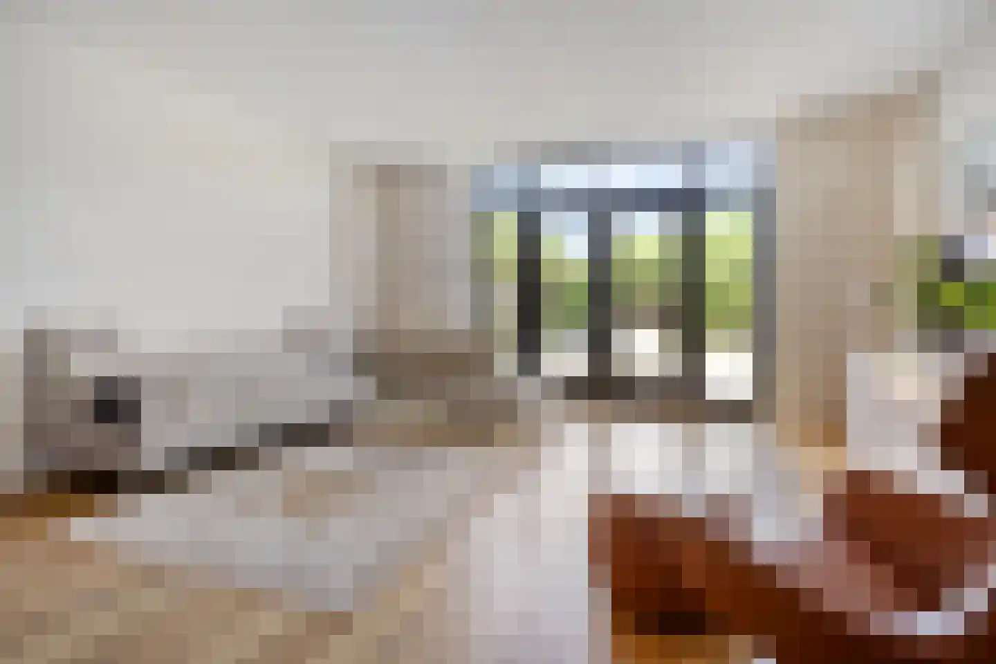 Pleinesbos 3 Vleuten thumbnail 15