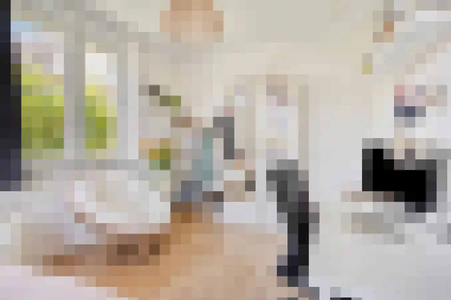 Pleinesbos 3 Vleuten thumbnail 29