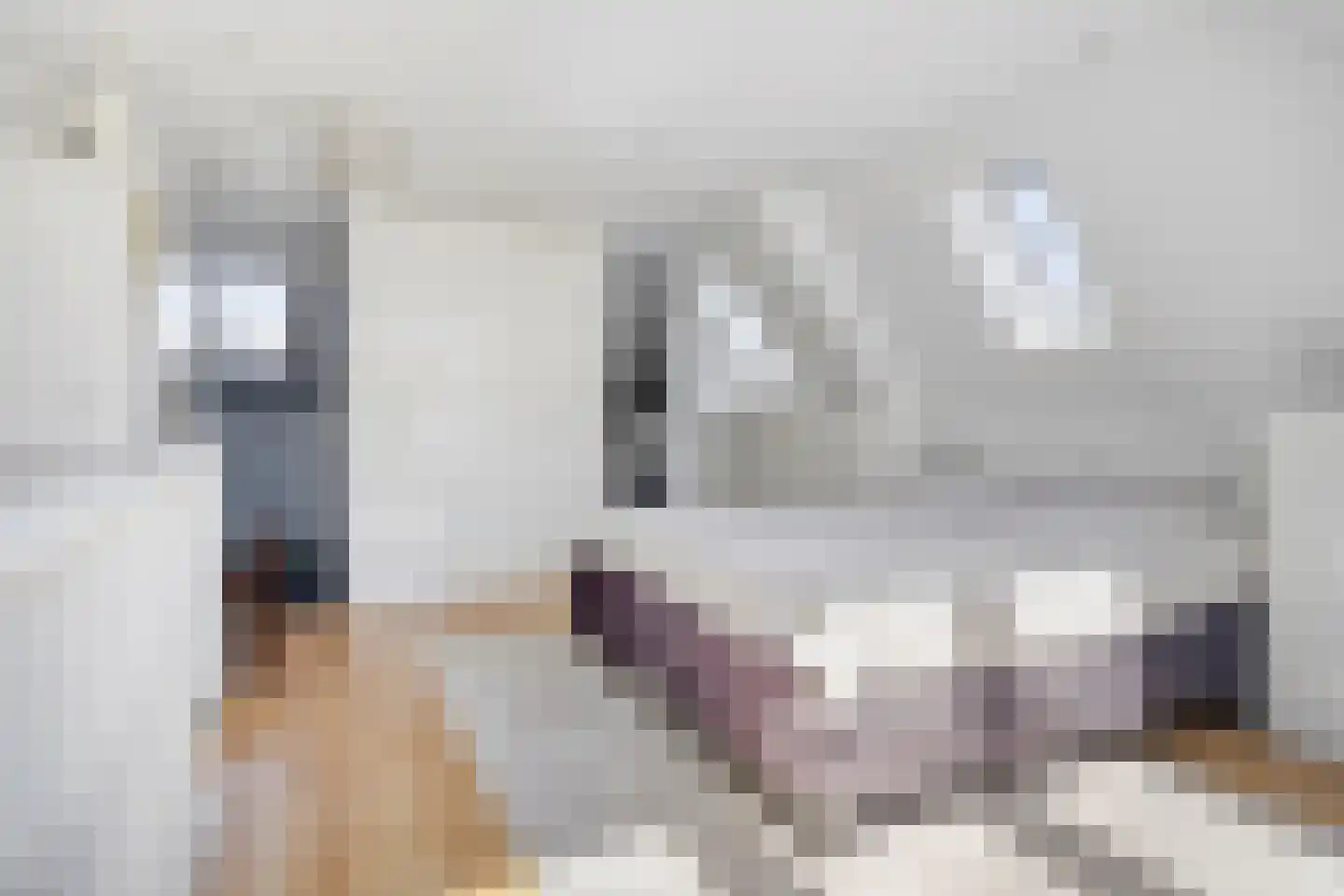 Pleinesbos 3 Vleuten thumbnail 37