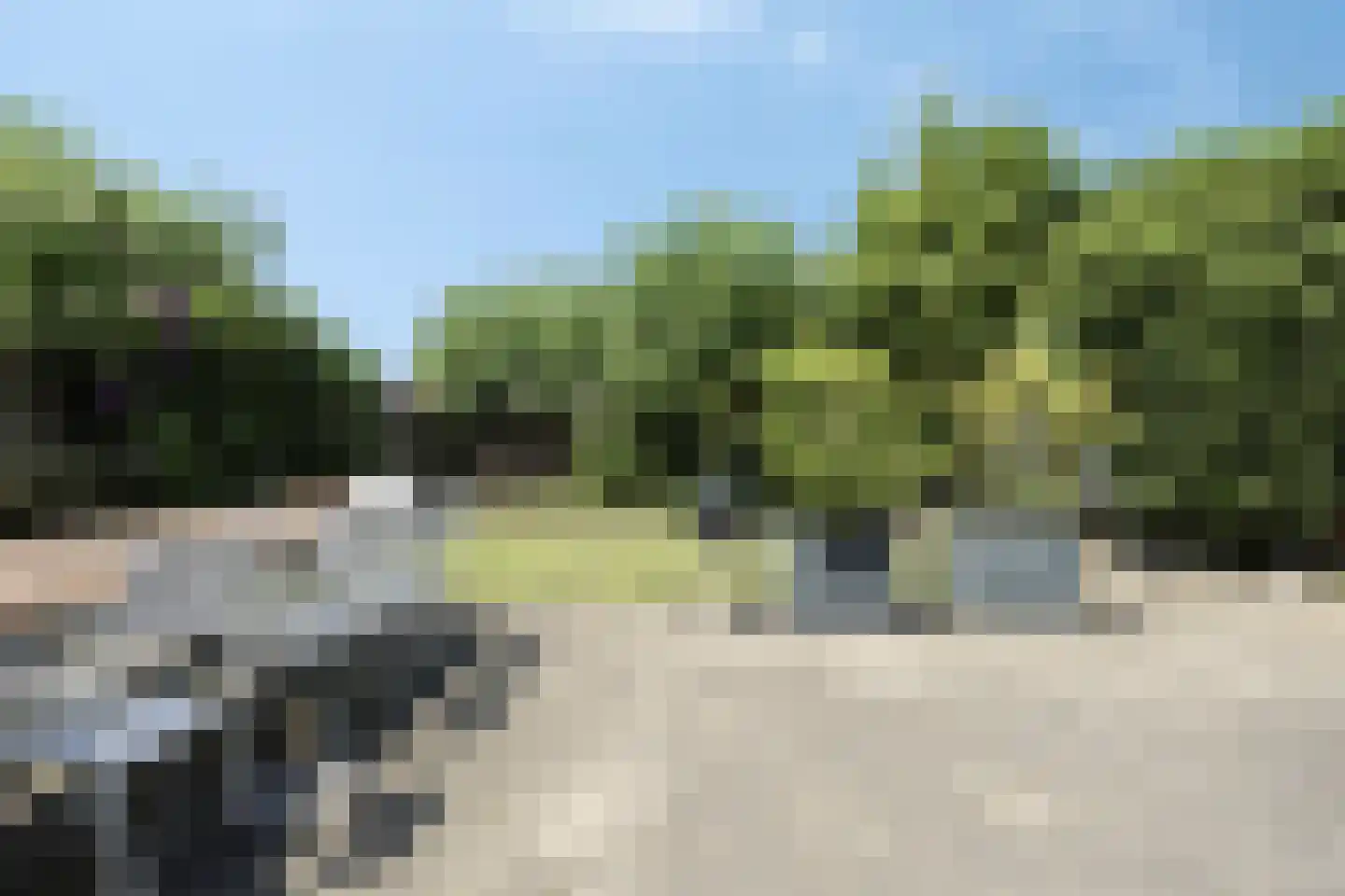 Pleinesbos 3 Vleuten thumbnail 41