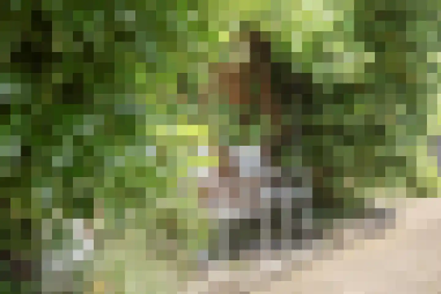 Pleinesbos 3 Vleuten thumbnail 46