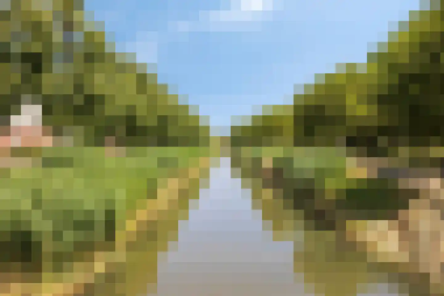 Pleinesbos 3 Vleuten thumbnail 48