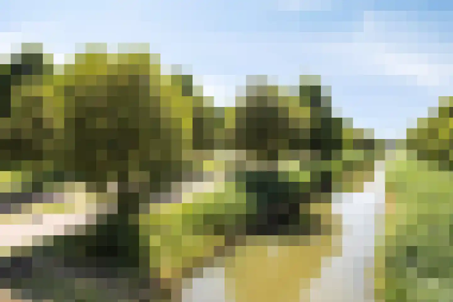 Pleinesbos 3 Vleuten thumbnail 49