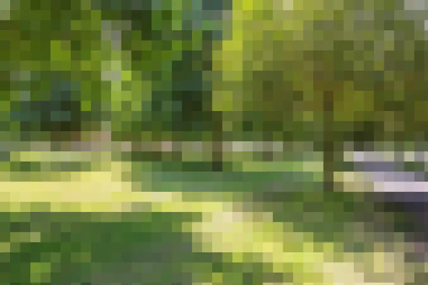 Pleinesbos 3 Vleuten thumbnail 50