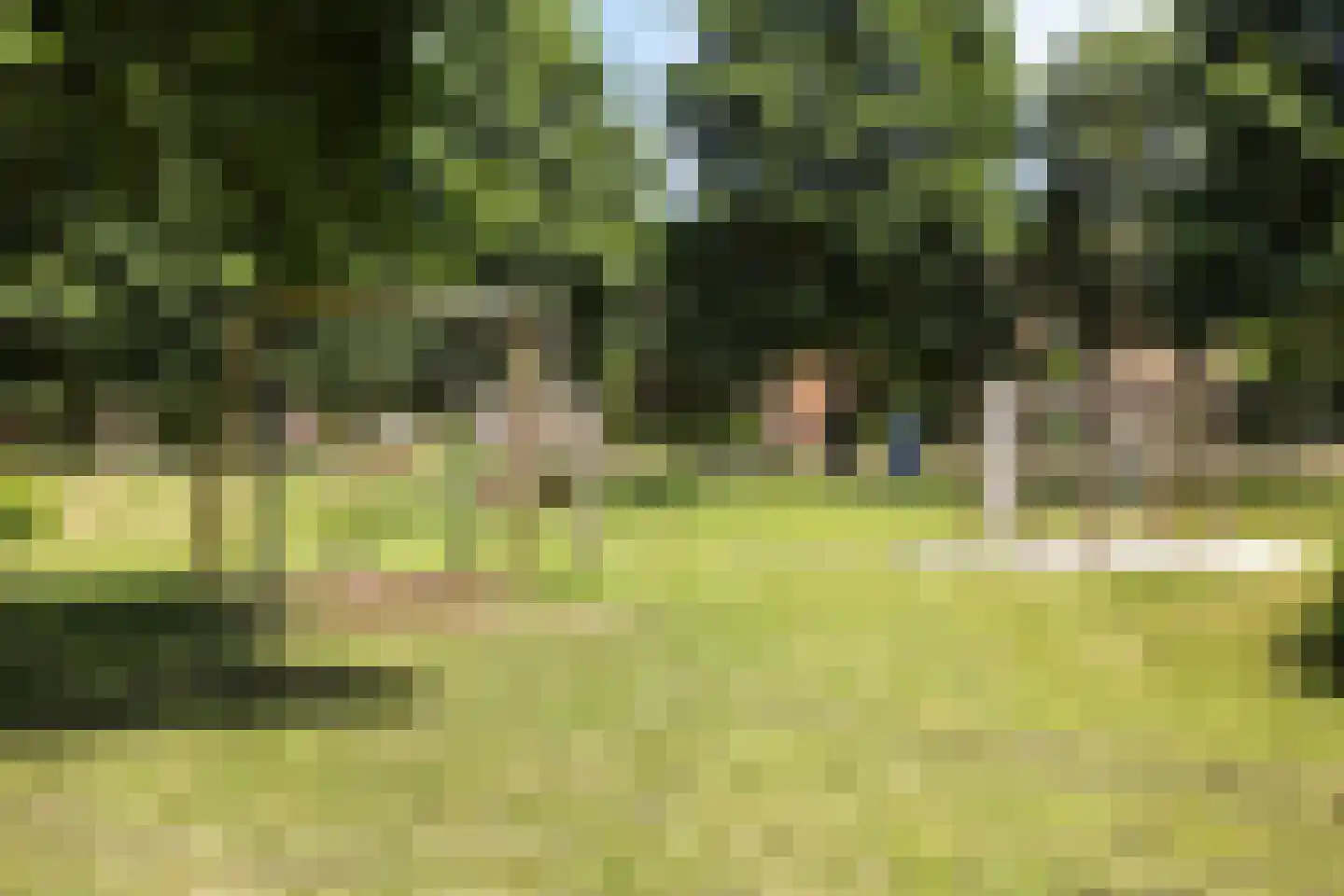 Pleinesbos 3 Vleuten thumbnail 51