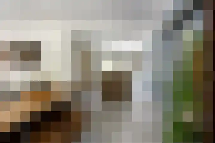 Pleineslaan 104 Den Dolder thumbnail 11