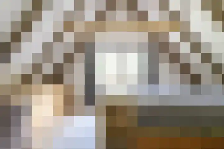 Pleineslaan 104 Den Dolder thumbnail 24