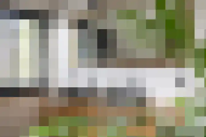 Pleineslaan 104 Den Dolder thumbnail 31