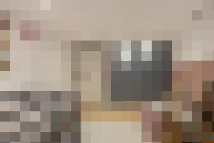 Pleineslaan 104 Den Dolder thumbnail 36