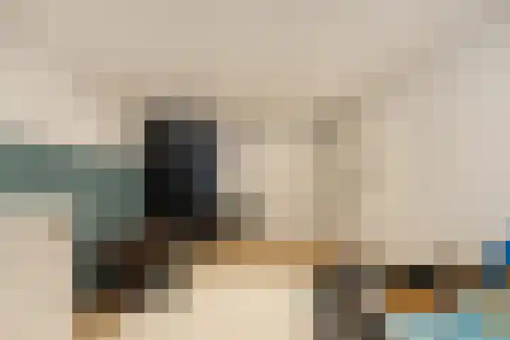 Pleineslaan 104 Den Dolder thumbnail 38
