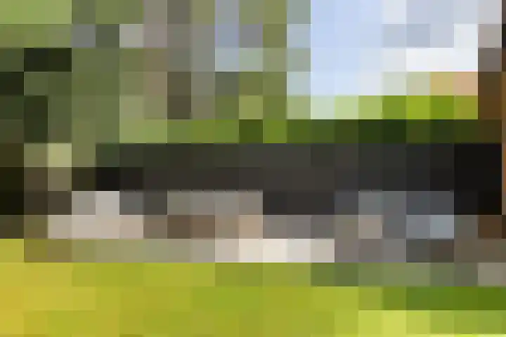 Pleineslaan 104 Den Dolder thumbnail 48