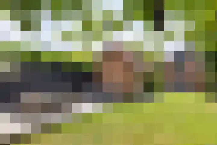 Pleineslaan 104 Den Dolder thumbnail 51