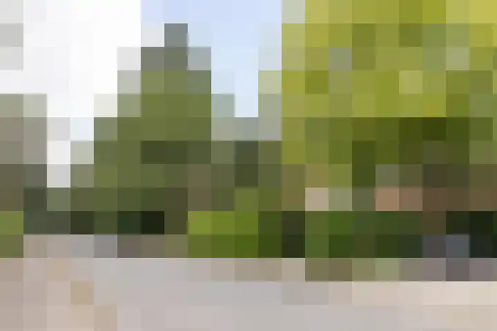 Pleineslaan 104 Den Dolder thumbnail 58