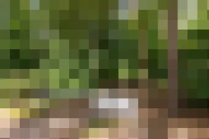 Pleineslaan 104 Den Dolder thumbnail 59