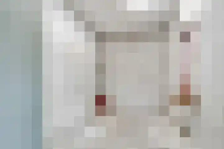 Pleineslaan 45 Den Dolder thumbnail 14