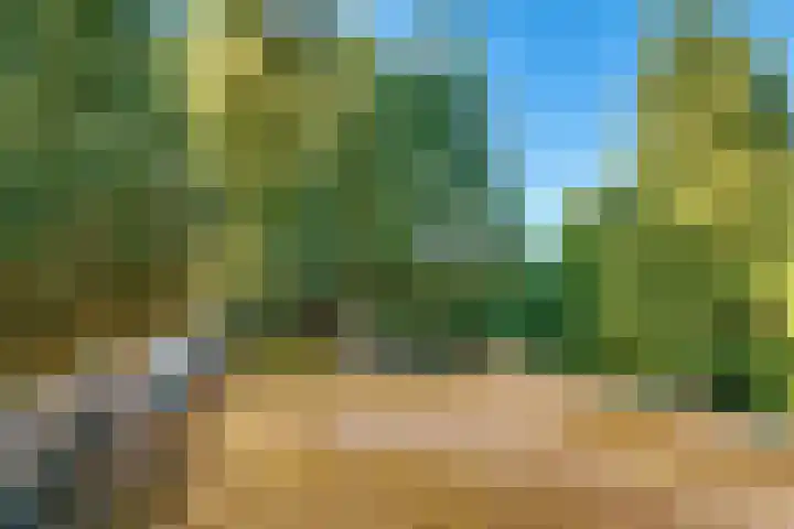 Pleineslaan 45 Den Dolder thumbnail 18